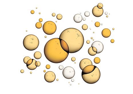 ceramide 05